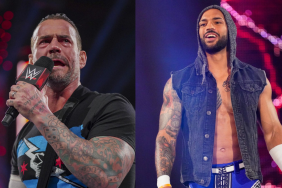 WWE RAW stars CM Punk and Ricochet