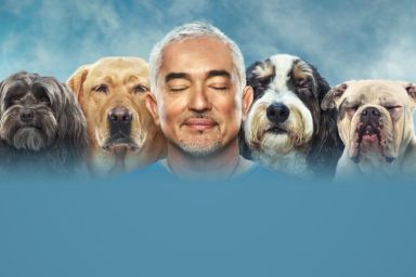 Cesar Millan: Better Human Better Dog Season 4: How Many Episodes & When Do New Episodes Come Out?
