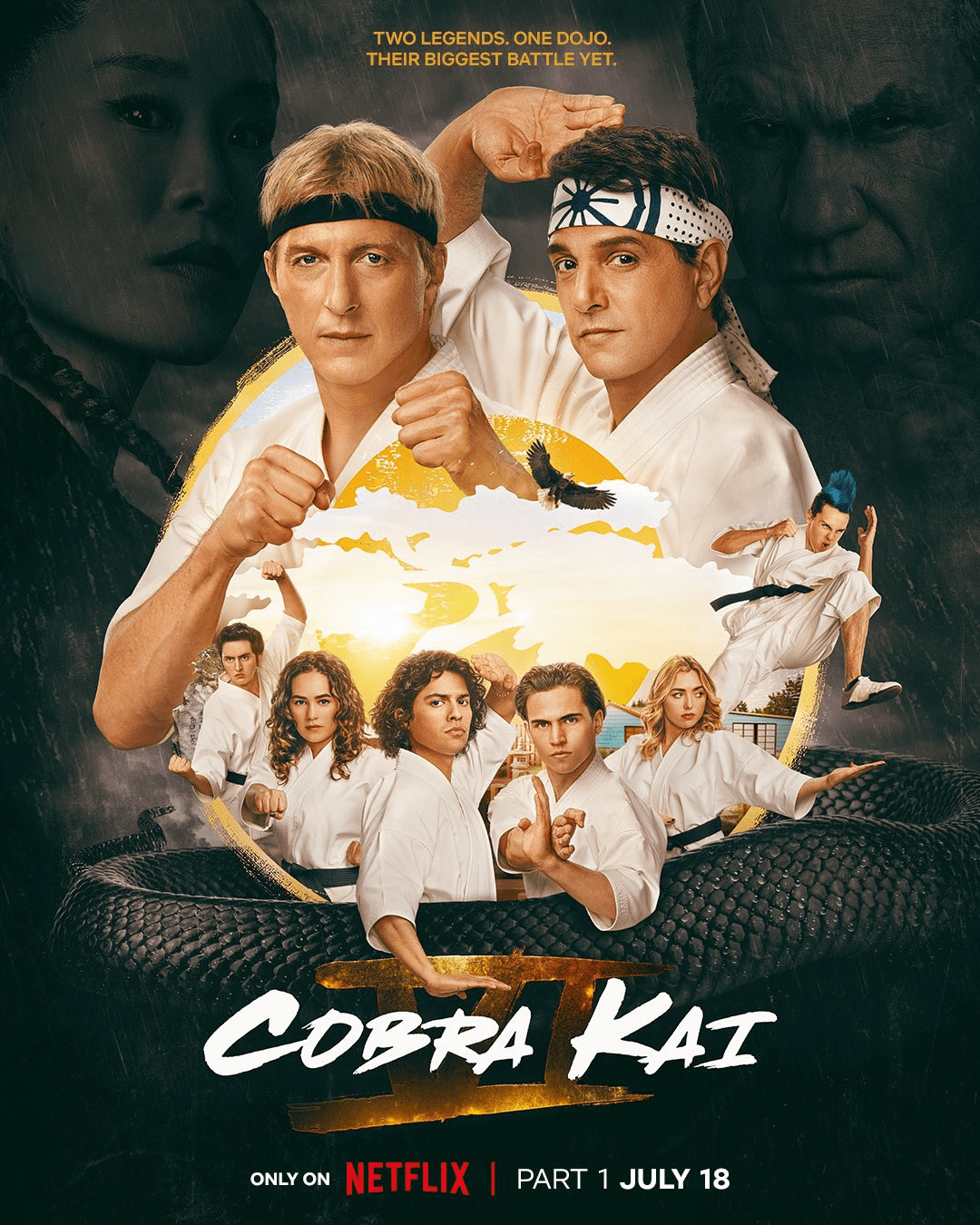 Cobra Kai Season 6 Part 1 Poster Teases Final Season of Netflix Spin-off