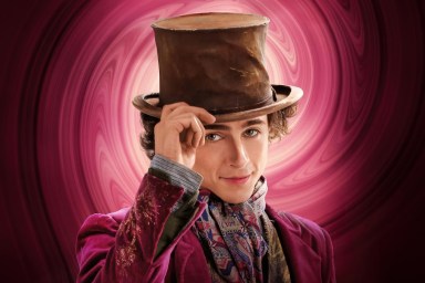 Watch Wonka Online