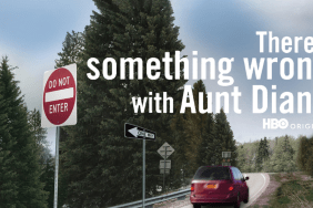 There's Something Wrong With Aunt Diane Taconic Parkway Crash