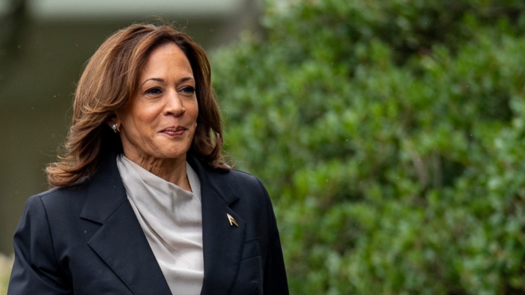 Don des fondateurs de Netflix à Kamala Harris : Polémique et annulations en masse