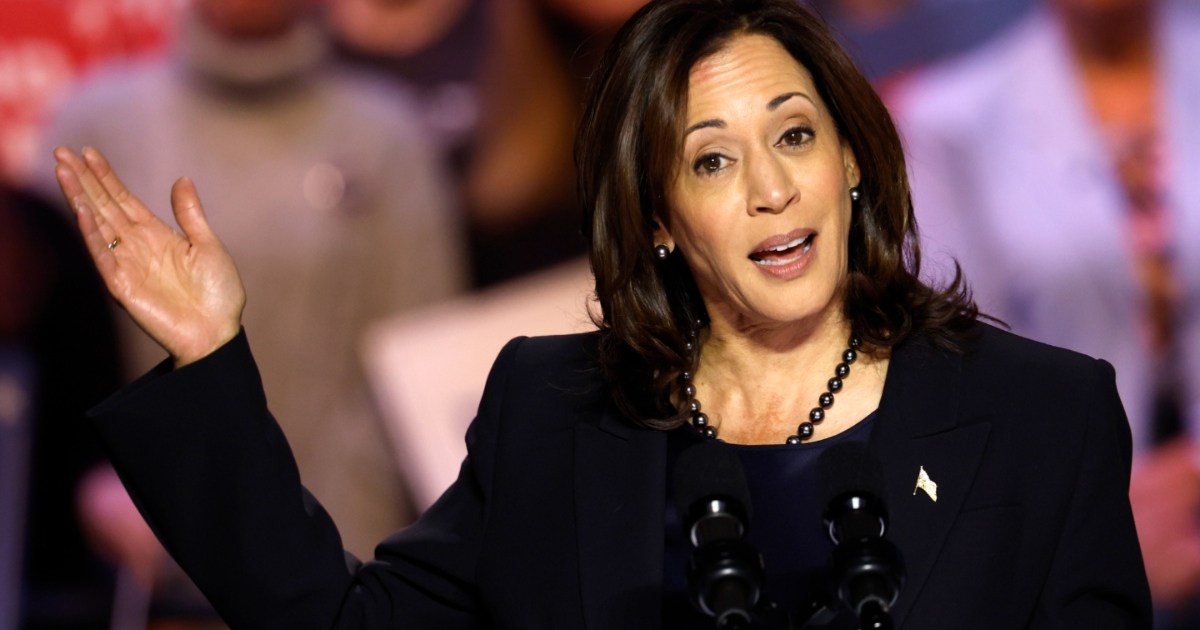 What Is the Kamala Harris Coconut Tree Meme? Explained