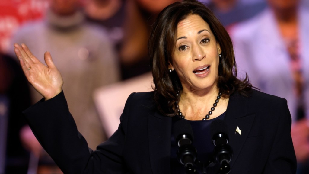 Kamala Harris coconut tree meme Vice President