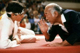 How to Watch The Karate Kid (1984) Online