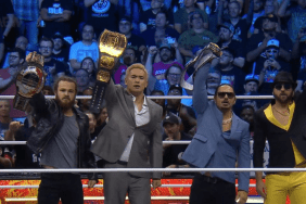 The Elite in AEW consists of The Young Bucks, Jack Perry, and Kazuchika Okada