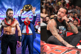 WWE Superstars Roman Reigns and CM Punk
