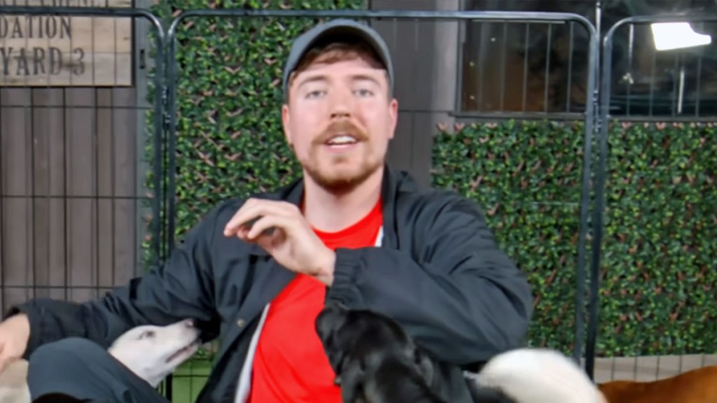 Why MrBeast isnt old enough to run for president what year will he run