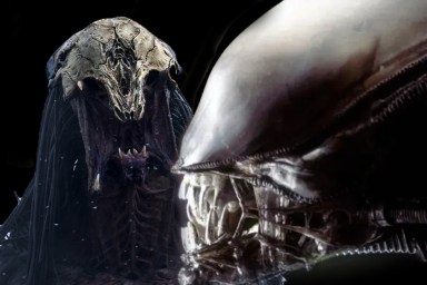 alien predator back to basics