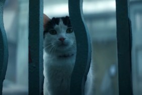best cats in movies a quiet place day one