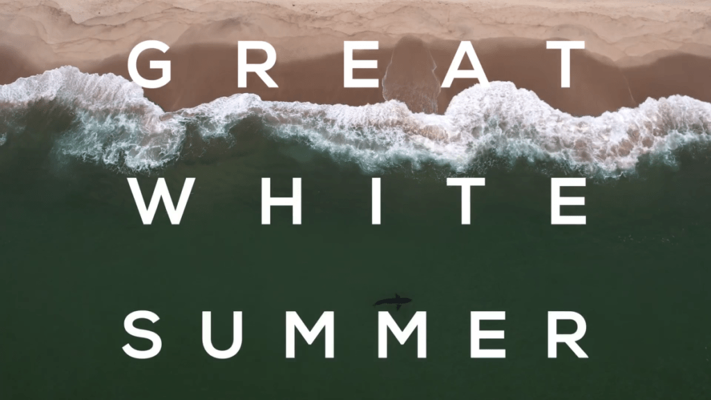 Exclusive Great White Summer Trailer Previews Documentary on Cape Cod's Shark Issues