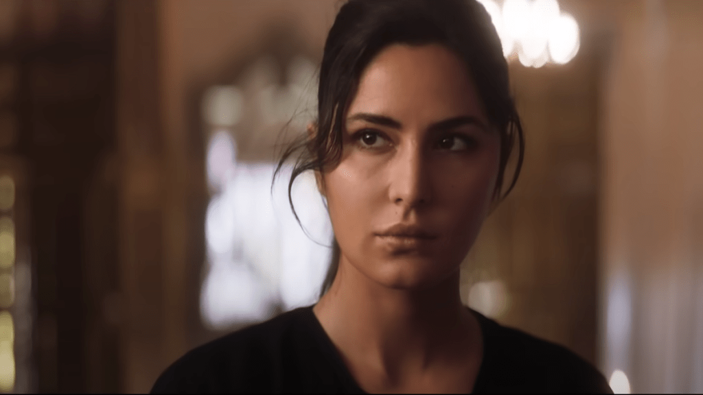 Katrina Kaif in Tiger Zinda Hai