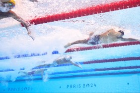 olympics swimmers swimsuit