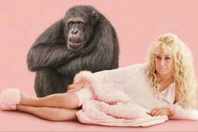 Chimp Crazy Season 1: How Many Episodes & When Do New Episodes Come Out?