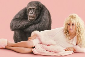 Chimp Crazy Streaming Release Date: When Is It Coming Out on HBO Max?