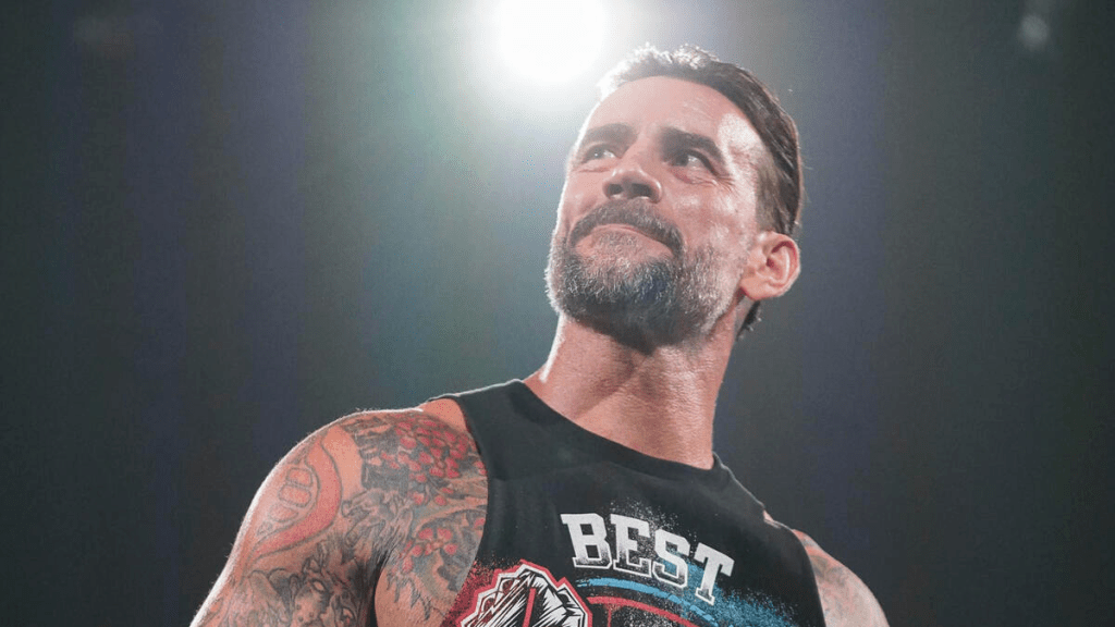 Former WWE Champion CM Punk has made several appearances on NXT since his return.