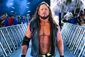 Former WWE Champion AJ Styles