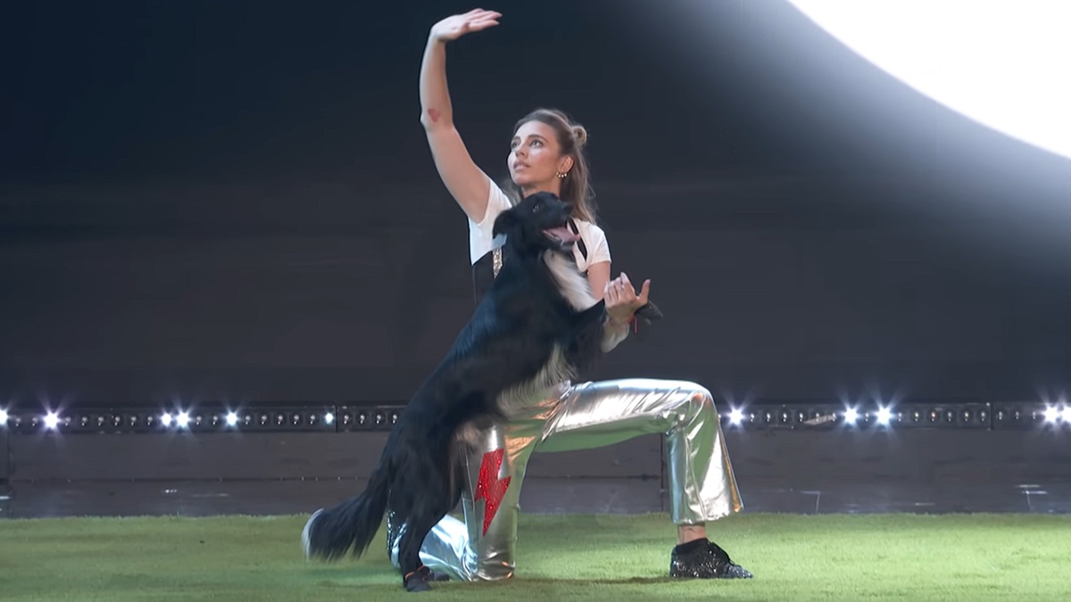 What Happened to the AGT Dancing Dog Act for America's Got Talent 2024?