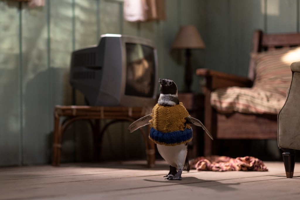 Exclusive My Penguin Friend Clip Previews Emotional Movie About a Lost Penguin