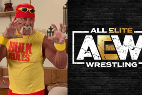 WWE Hall of Famer Hulk Hogan talks about Top AEW star