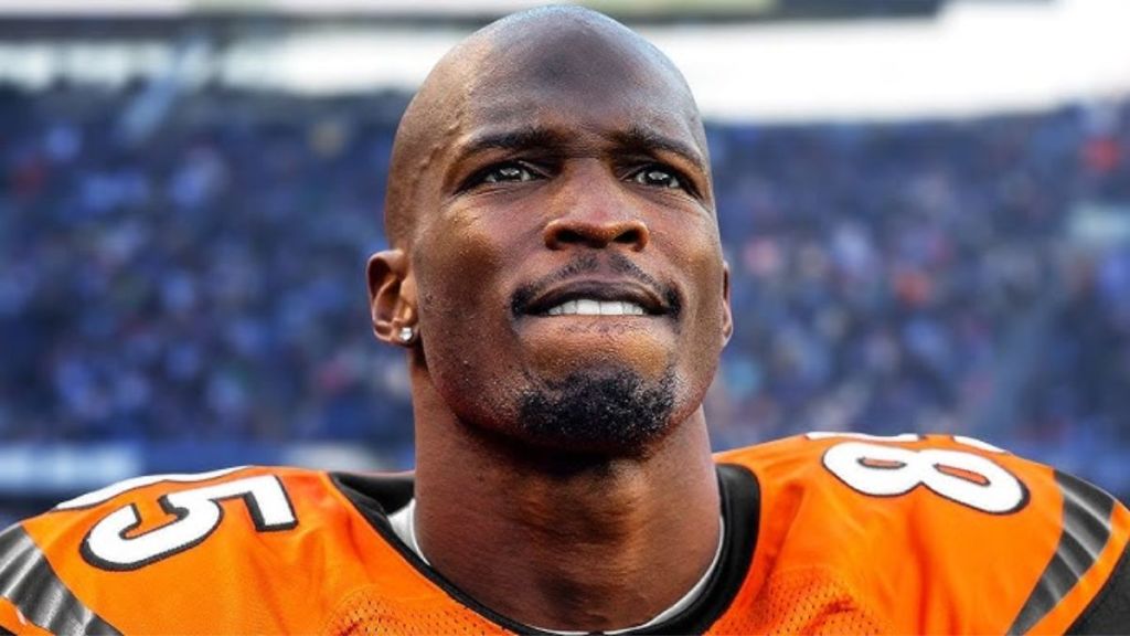 Who Is Chad OchoCinco's Fiancée? Sharelle Rosado's Job & Relationship History Explained