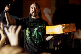 Steve Aoki Net Worth 2024: How Much Money Does He Make?