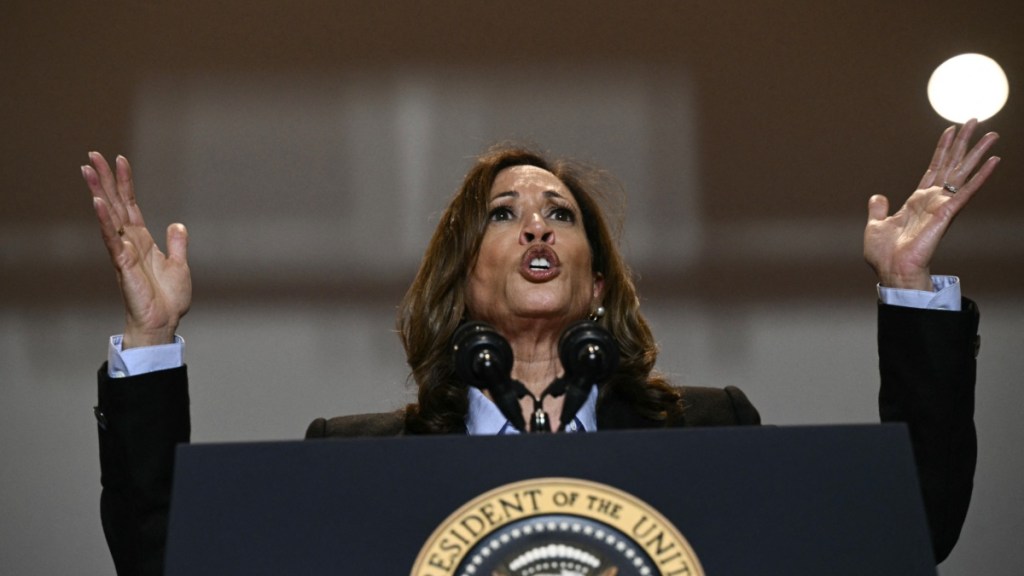 No, Kamala Harris Wasn’t Involved in 2011 Hit & Run Case