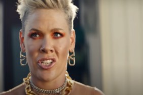 Why Did Pink Delete Her Tweets on X (Twitter)? Explained