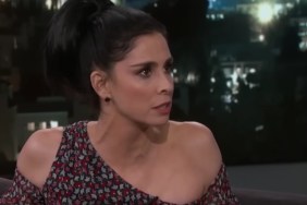 Who Is Sarah Silverman's Boyfriend? Rory Albanese's Job & Relationship History