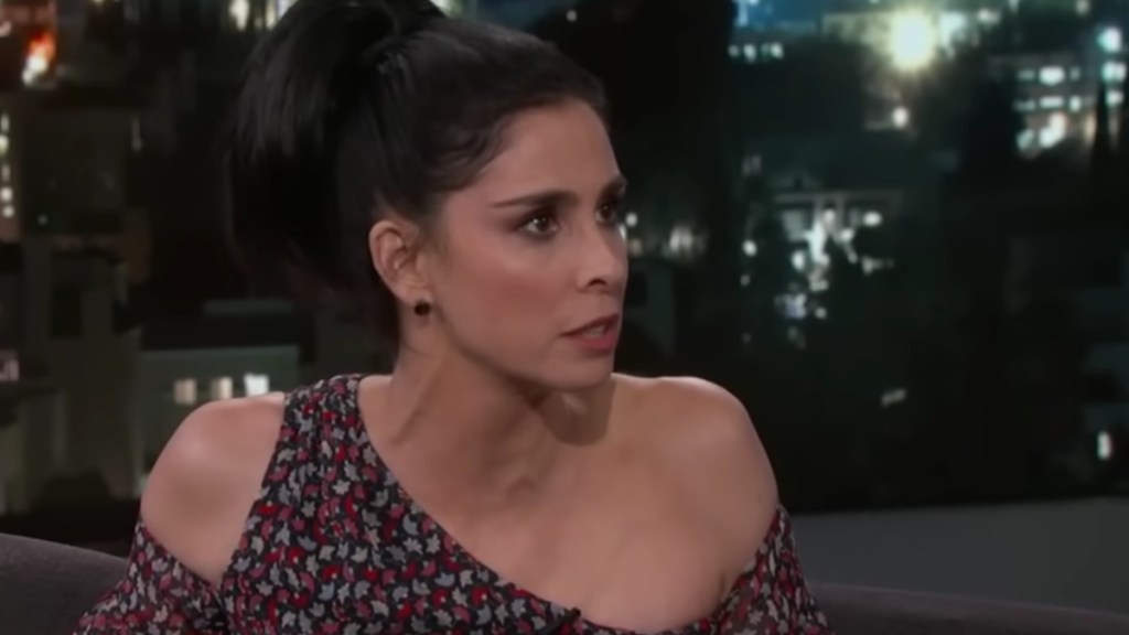 Who Is Sarah Silverman's Boyfriend? Rory Albanese's Job & Relationship History