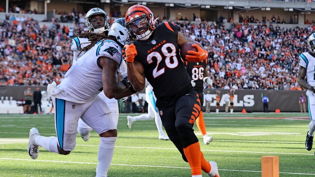 Watch NFL Cincinnati Bengals vs Carolina Panthers Today Free: Time, Stream & Channel