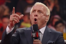 What Happened to Ric Flair & Wendy Barlow? Split/Divorce Explained