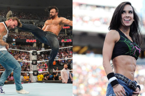 Former WWE Divas Champion AJ Lee on CM Punk vs. Drew McIntyre feud