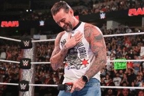 Former WWE Champion CM Punk was attacked by Drew McIntyre on RAW