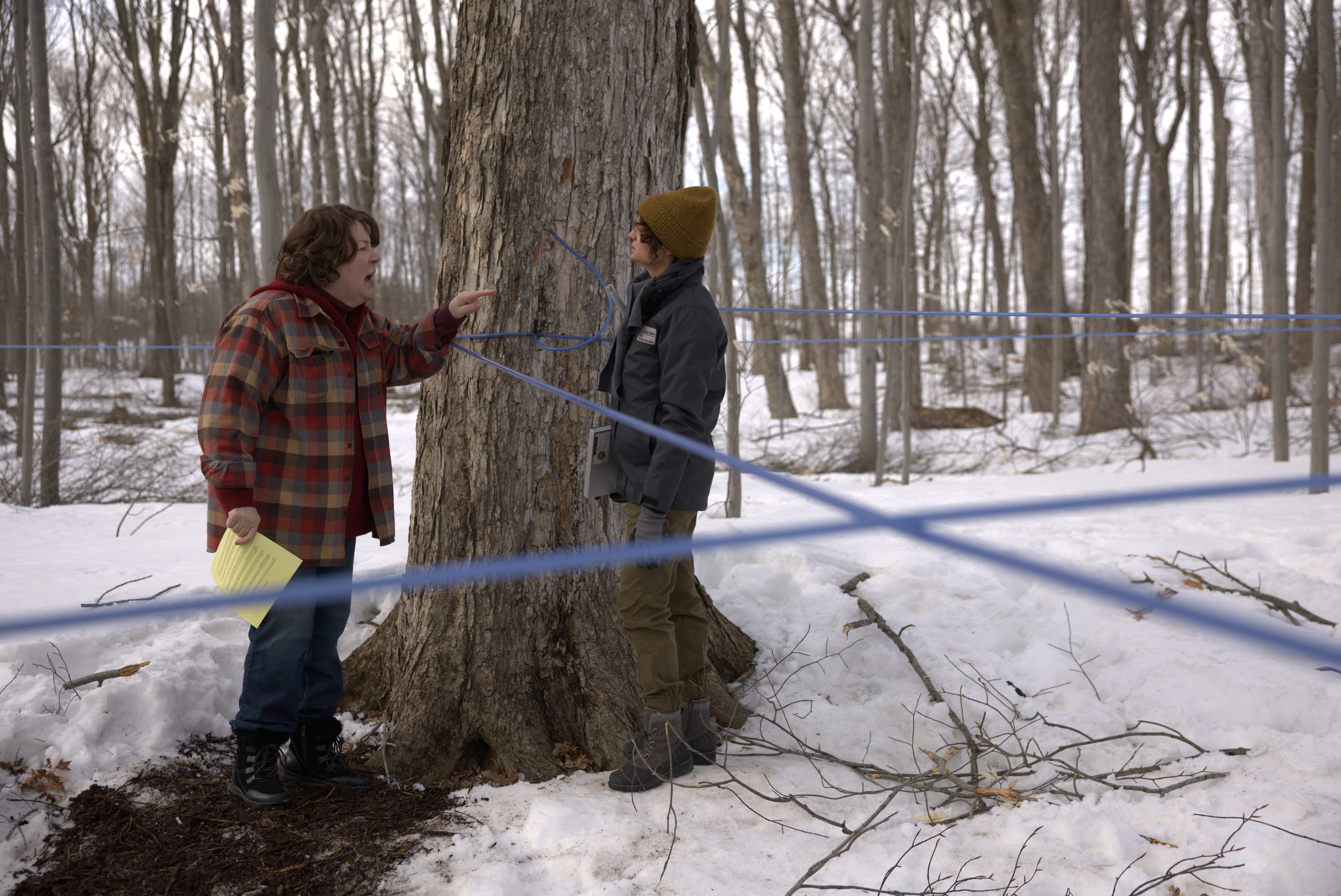 The Sticky Release Date Set for Prime Video Heist Series Starring Margo Martindale