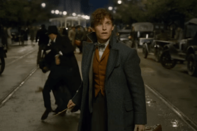 Fantastic Beasts Update: Eddie Redmayne on if Harry Potter Spin-offs Will Continue