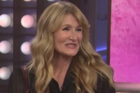 Who Is Laura Dern's Ex-Husband? Ben Harper's Kids & Relationship History