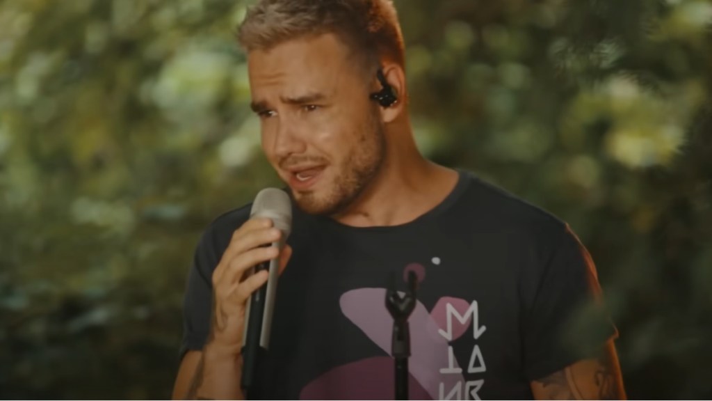 Why Fans Think Liam Payne Was Dropped by His Record Label