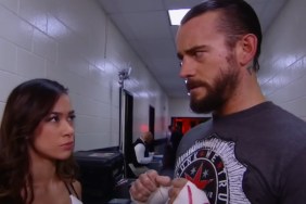 Who Is CM Punk's Wife? AJ Lee's Job & Relationship History