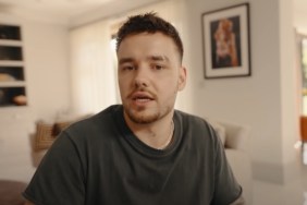 Liam Payne's Final Song 'Do No Wrong' Has Been Delayed