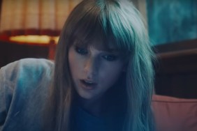 Fan Reaction to Taylor Swift 'Burn' Explained