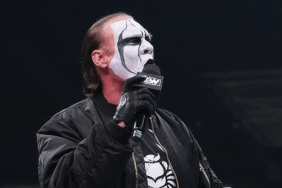 WWE Hall of Famer Sting had his final match at AEW Revolution