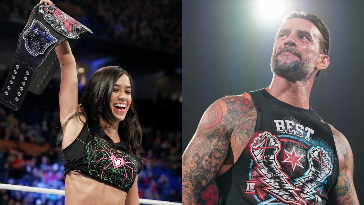 Is CM Punk Trying to Convince AJ Lee to Return to WWE?