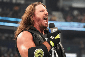 Update on WWE superstar AJ Styles' plans in TNA Wrestling