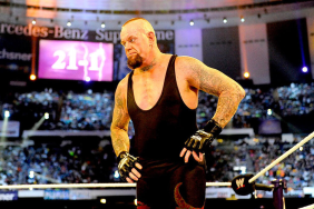 WWE Hall of Famer The Undertaker