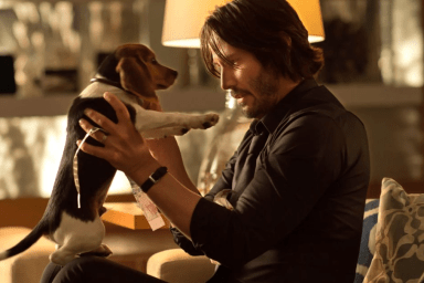 John Wick Directors Fought to Keep Dog Death in Action Movie