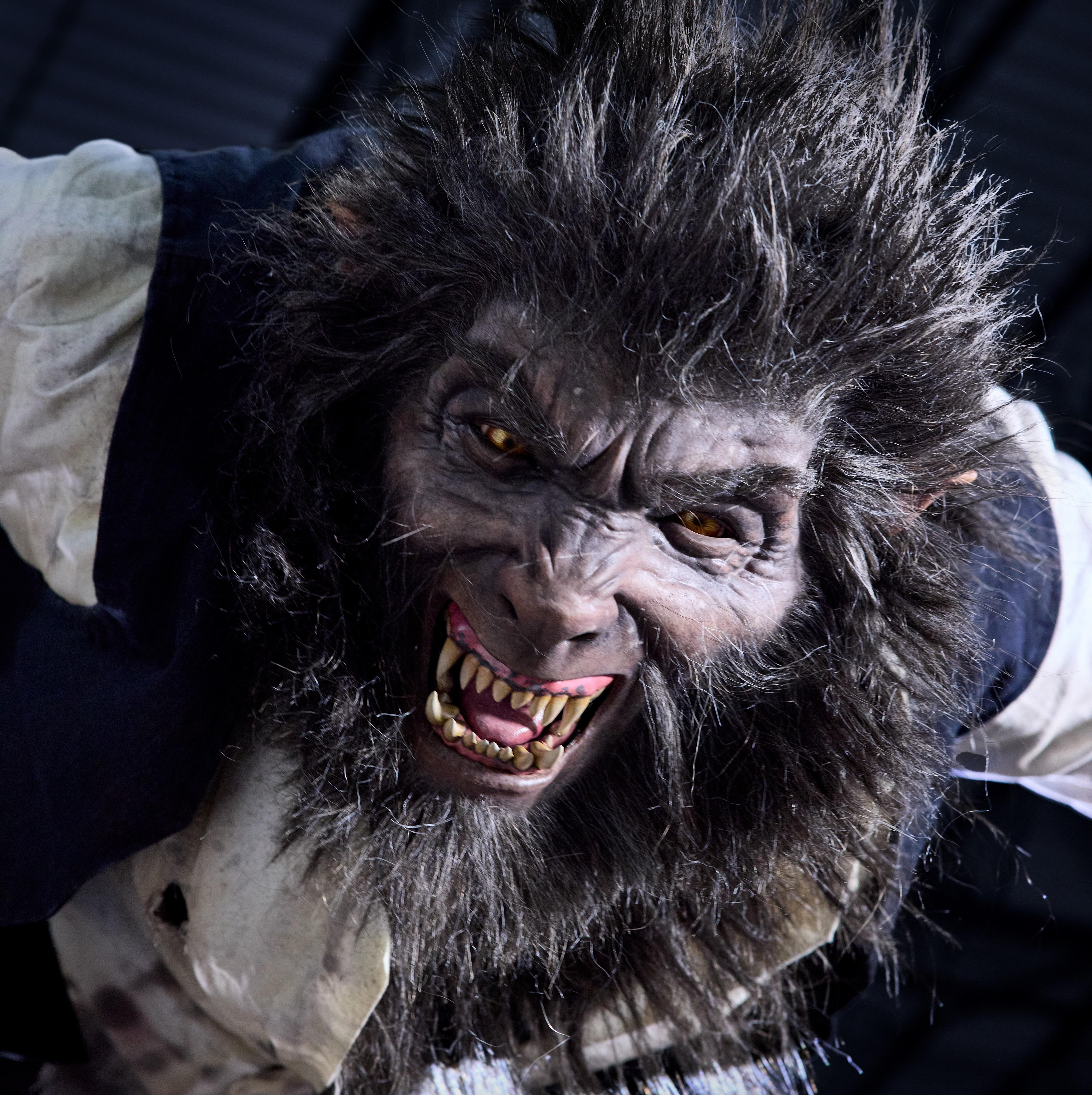 First Look at Universal Orlando’s Dark Universe Monster Animatronics Revealed