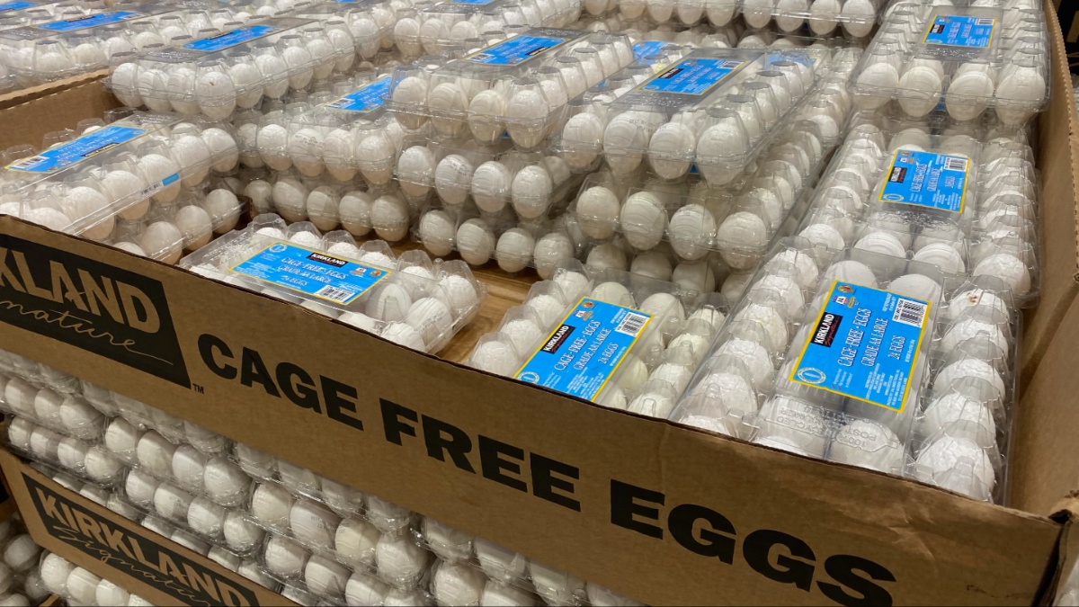 Why Did Costco Recall More Than 10k Cartons of Eggs?