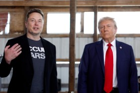 Elon Musk Tesla stock Donald Trump president election