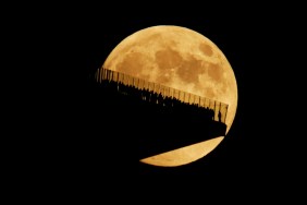 Here’s When the Final Supermoon of 2024 Will Rise